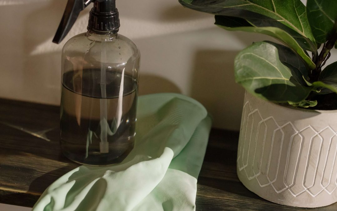 Cleaning Data in Excel