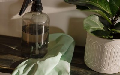 black-and-white-spray-bottle