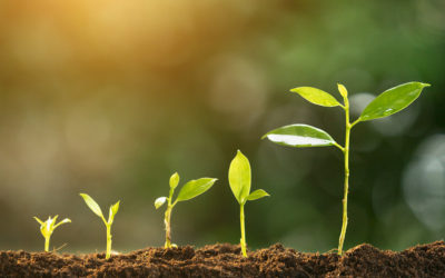 assessing your data maturity