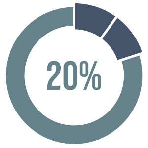20 percent