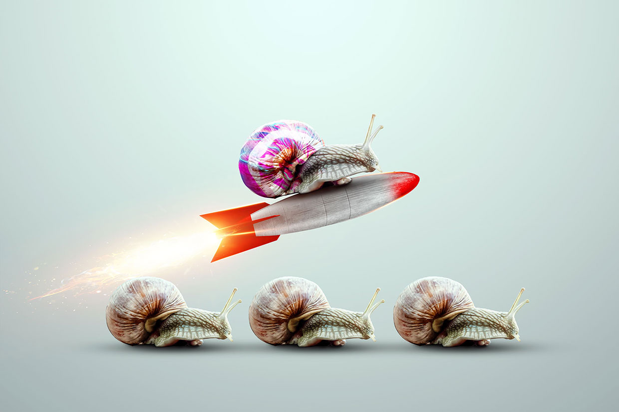 Snail on rocket